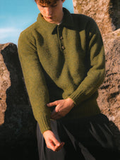 Lewis Brushed Shetland Polo in Apple Lambswool