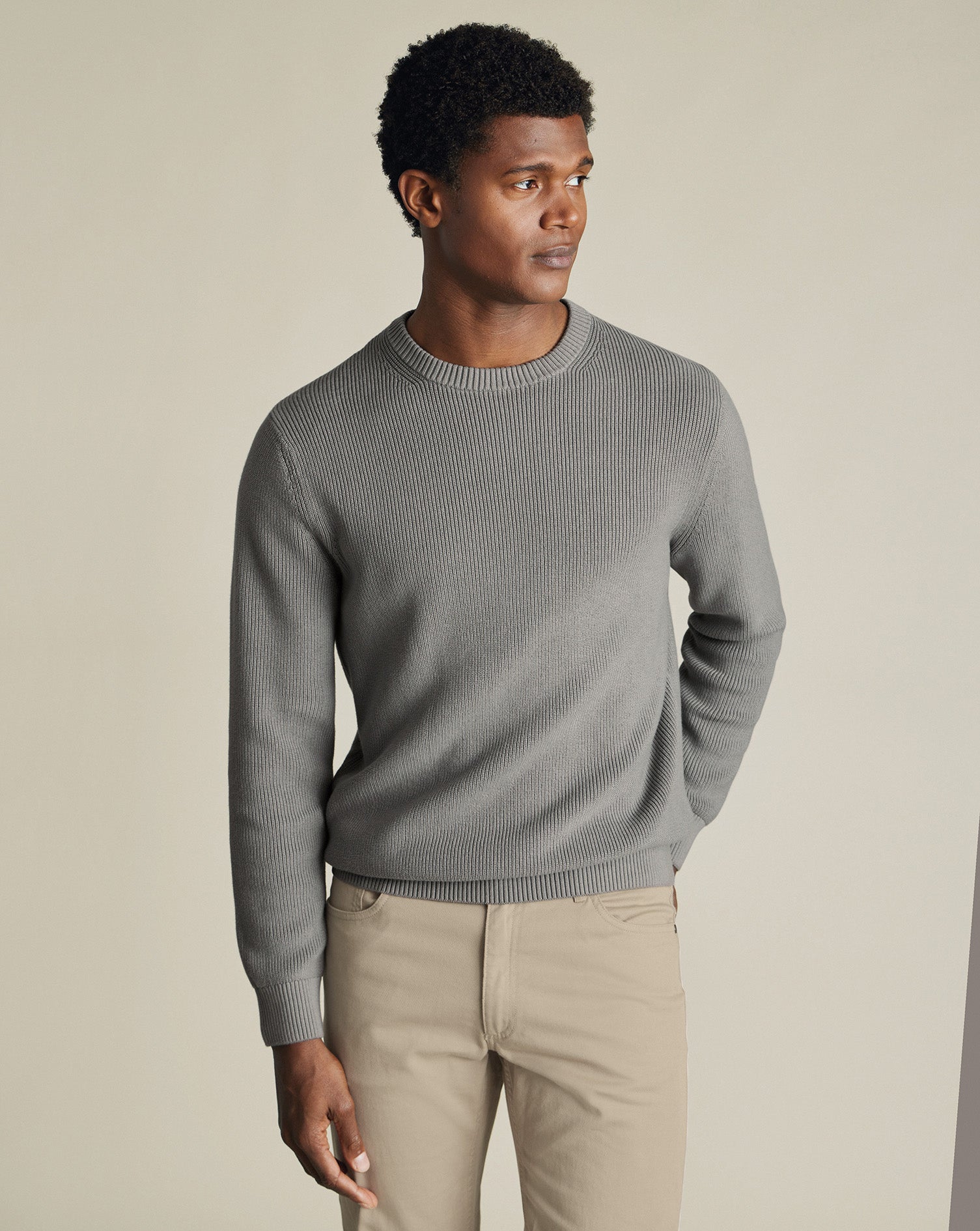 Cotton Rib Crew Neck Sweater - Gray