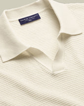 Cotton Texture Trophy Neck Knitted Polo
