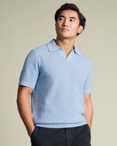 Cotton Texture Trophy Neck Knitted Polo – Sky Blue