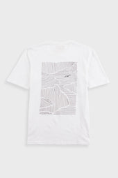 Contrast Sleeve T Shirt Seagull Stripe