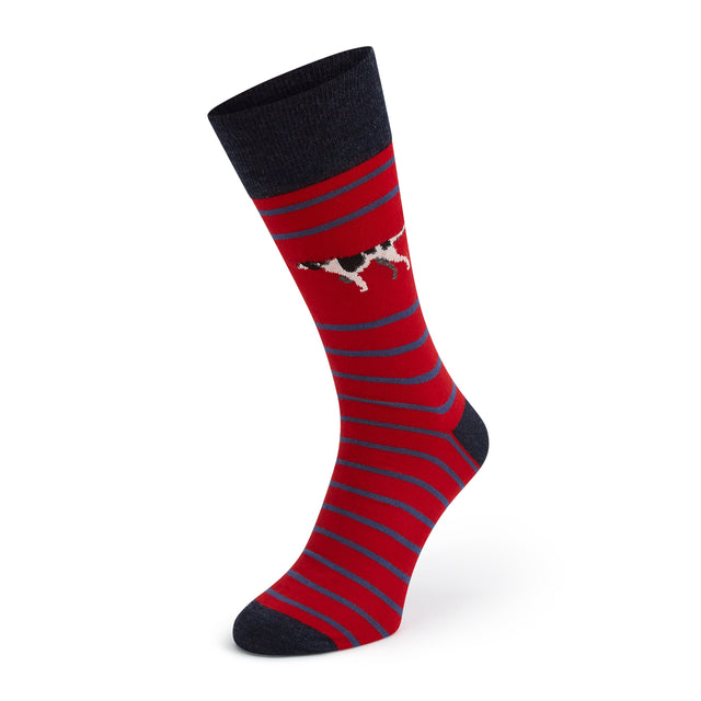 SUTTON RED BLUE POINTER STRIPE WOOL SOCK