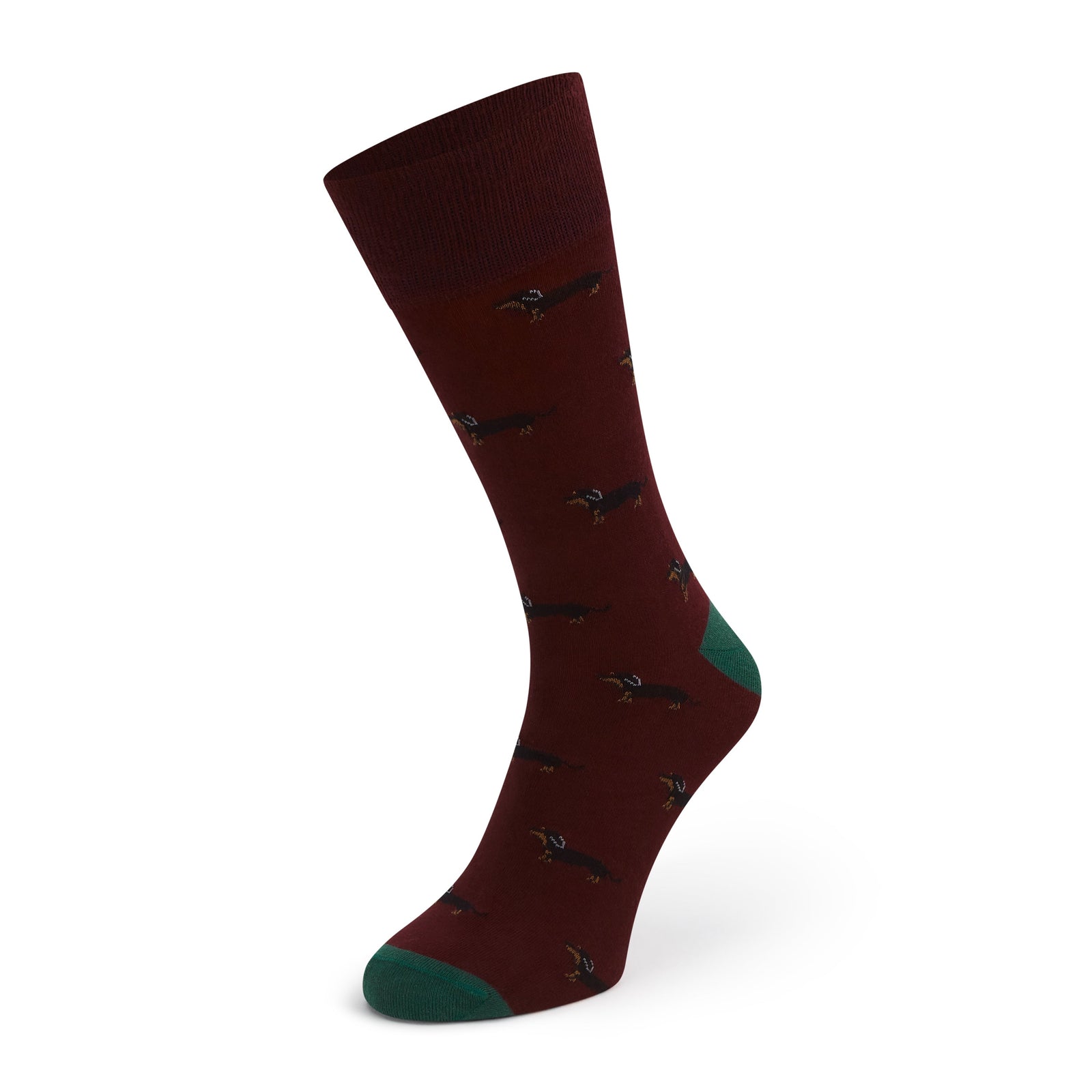 Sutton Red Green Dachshund Cotton Sock