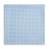 Blue White Churchill Silk Spot Pocket Square