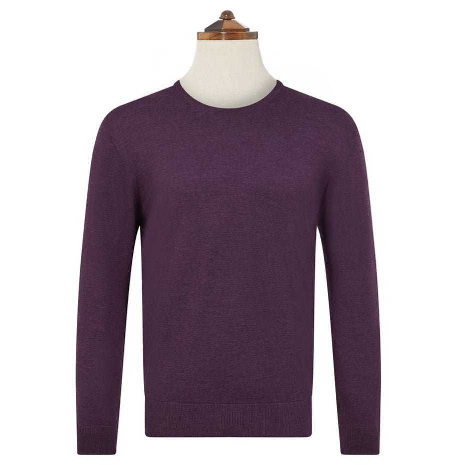 Kyan Purple Crew Neck Pullover