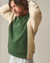 Men S Colorblock Midweight Pullover Safari Green Moss