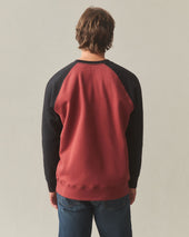 Men S Colorblock Midweight Crewneck Spiced Apple