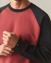 Men S Colorblock Midweight Crewneck Spiced Apple
