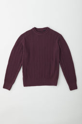 Men's Dahab Rollneck Sweater in Plum