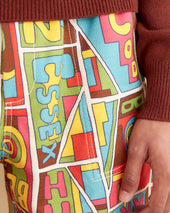 New England Mosaic Shorts
