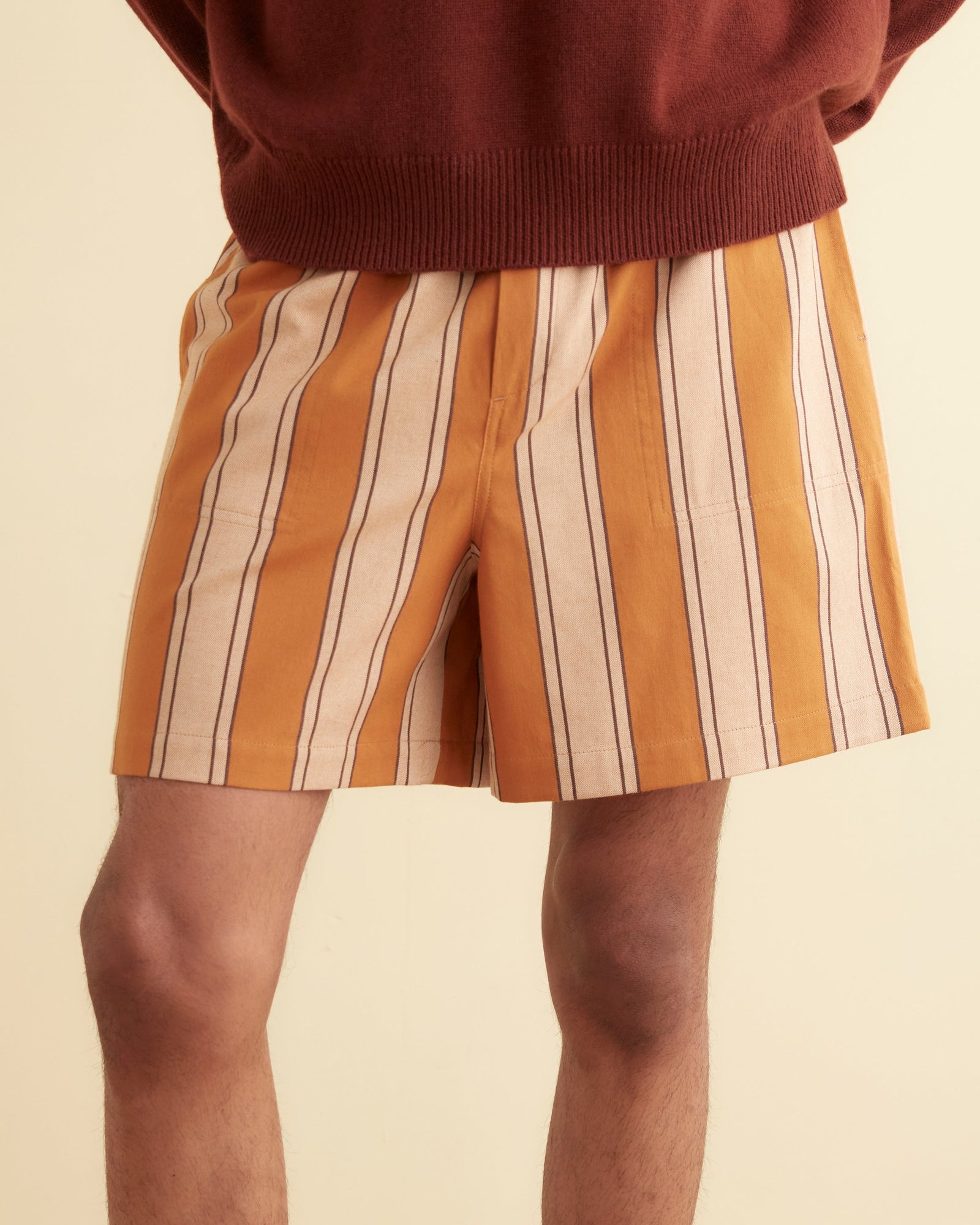 Awning Stripe Shorts