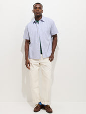 Franklin Striped Short Sleeve Shirt In Paper Poplin