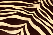 Printed Velour Open Collar Shirt Zebra