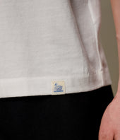 Soft Pima Cotton V Neck T Shirt