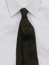 Abstract Paisley Tie