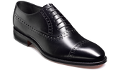 Newton - Black Calf