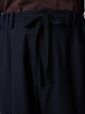 Noam Tropical Wool Pant In Darkest