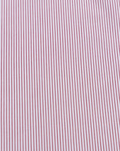 Button Down Collar Shirt Stripe Cotton Poplin