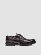ACADEMIA 001 - Brown Leather Derby Shoes