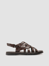 Saddle Brown