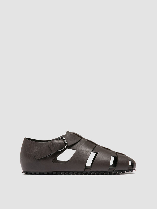 Saddle Brown
