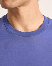Ob Standard T