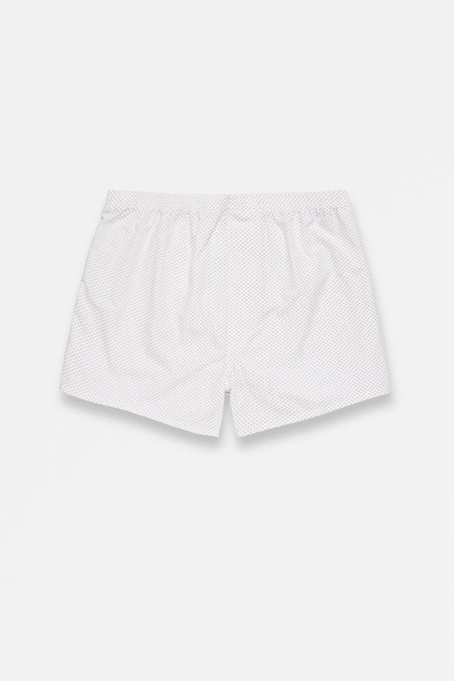 BOXER
