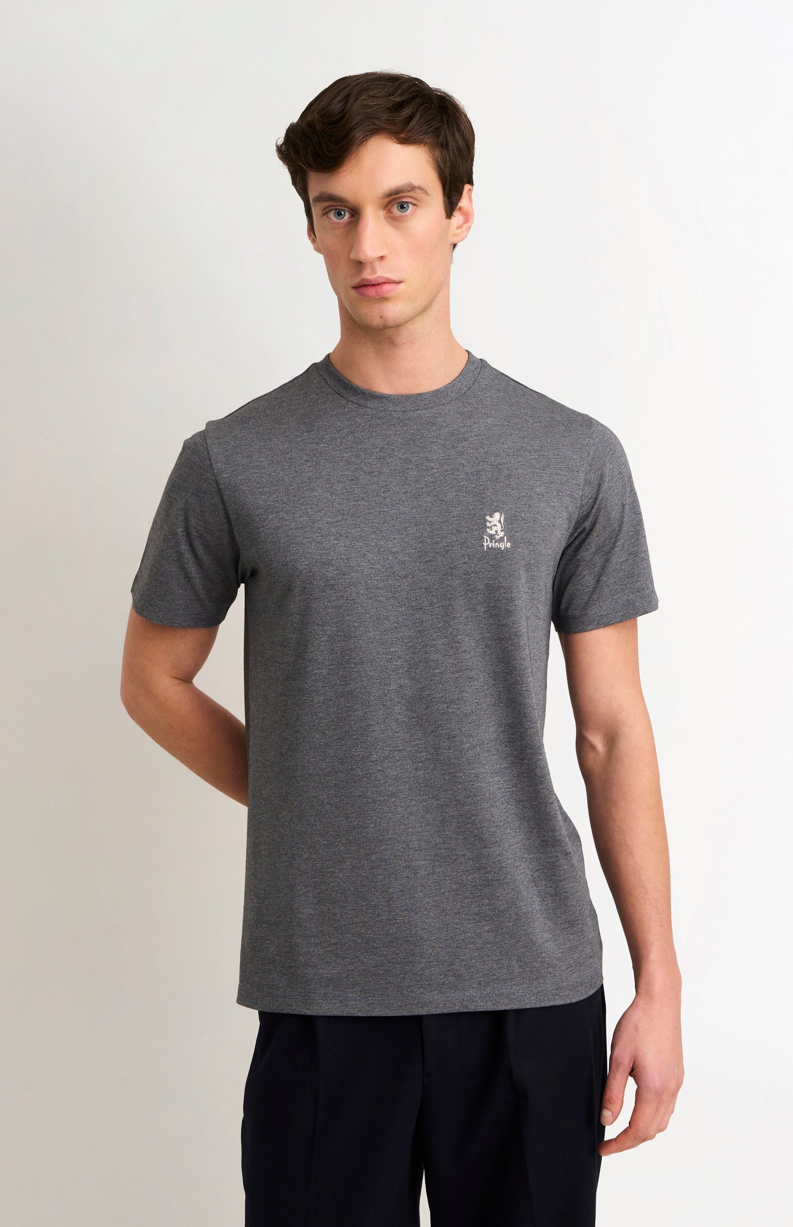 Men's Mid-weight Supima Cotton T-shirt In Charcoal