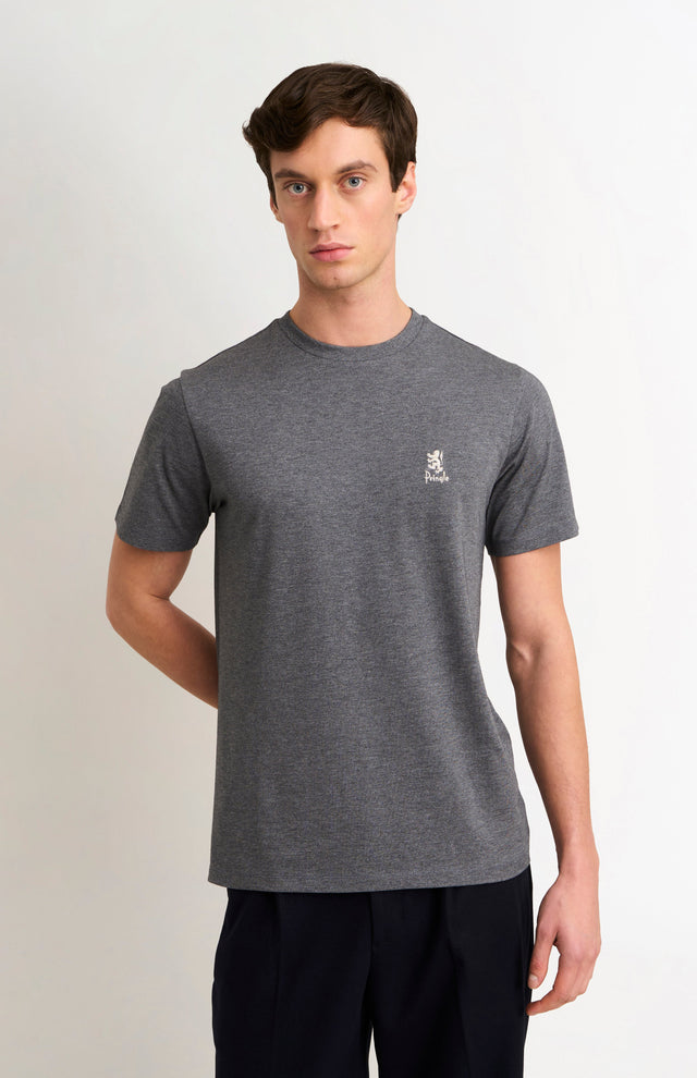 Men's Mid-weight Supima Cotton T-shirt In Charcoal