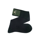 Acad Mie Aubergine Fil D Cosse