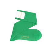 Vert Vif Fil D Cosse