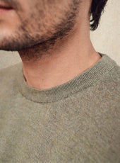 Pull Noliti