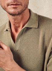 Pull Otto Lichen