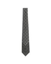 Paisley Bandana Tie - Grey