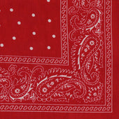 Paisley With Spots Neckerchief In Red