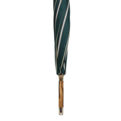 Vert Argent Rayures