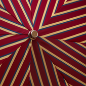 Rouge Or Rayures Pliant