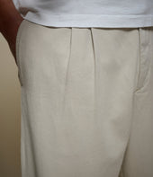 Pleated Twill Pants