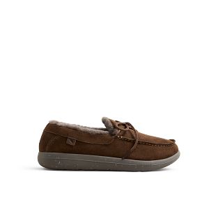 Drift | RedWing