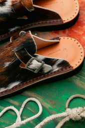 S100 Cow Sabot