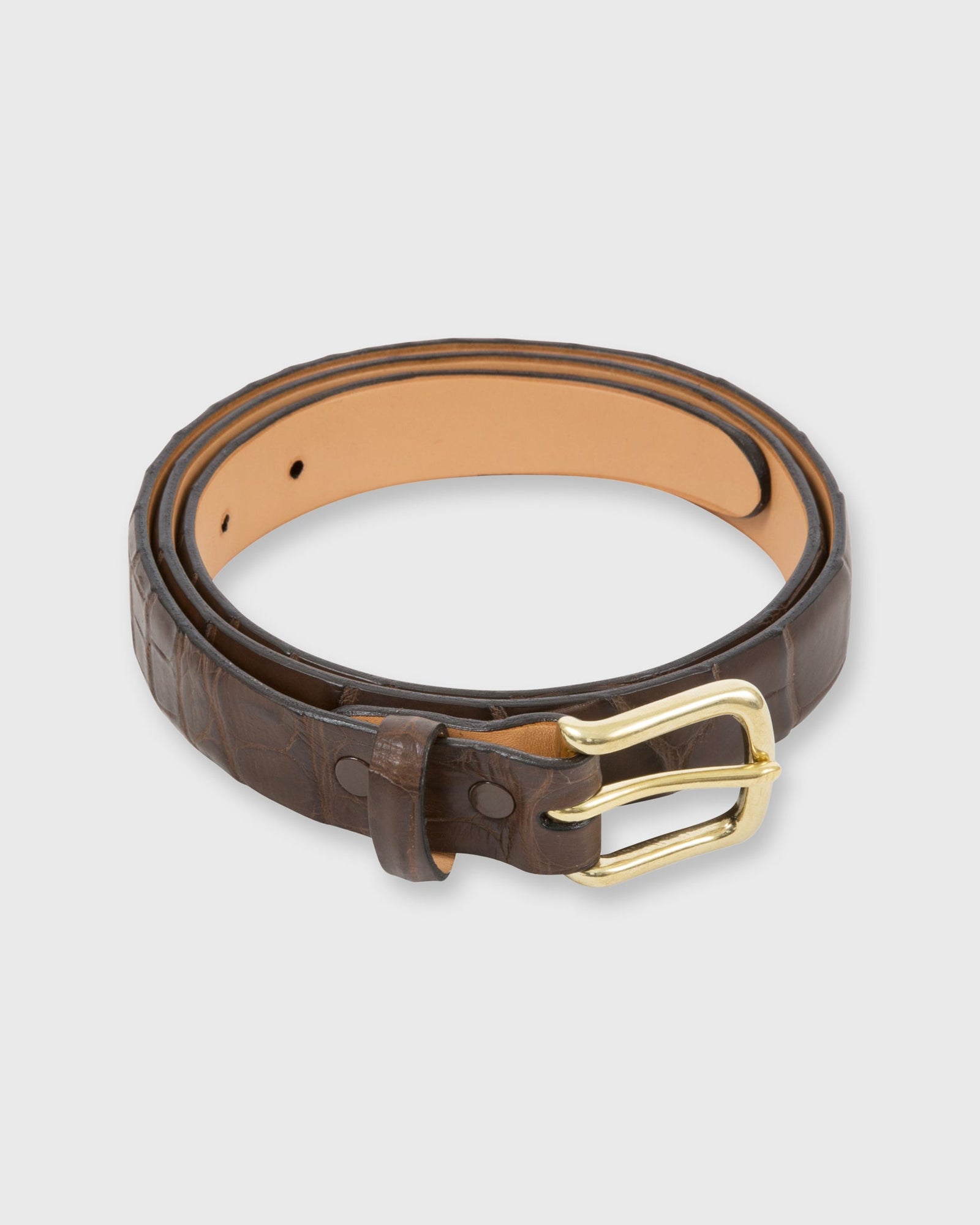 1 Belt In Matte Alligator