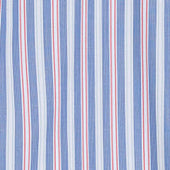 Camicia In Popeline Di Cotone Oxford Con Collo Button Down Riga Blu