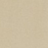 Pantalone Chino In Gabardina Di Cotone Beige