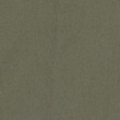 Bermuda In Canvas Di Cotone Tinto Pezza Oliva