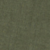 Bermuda In Cotone Lino Fiammato Verde