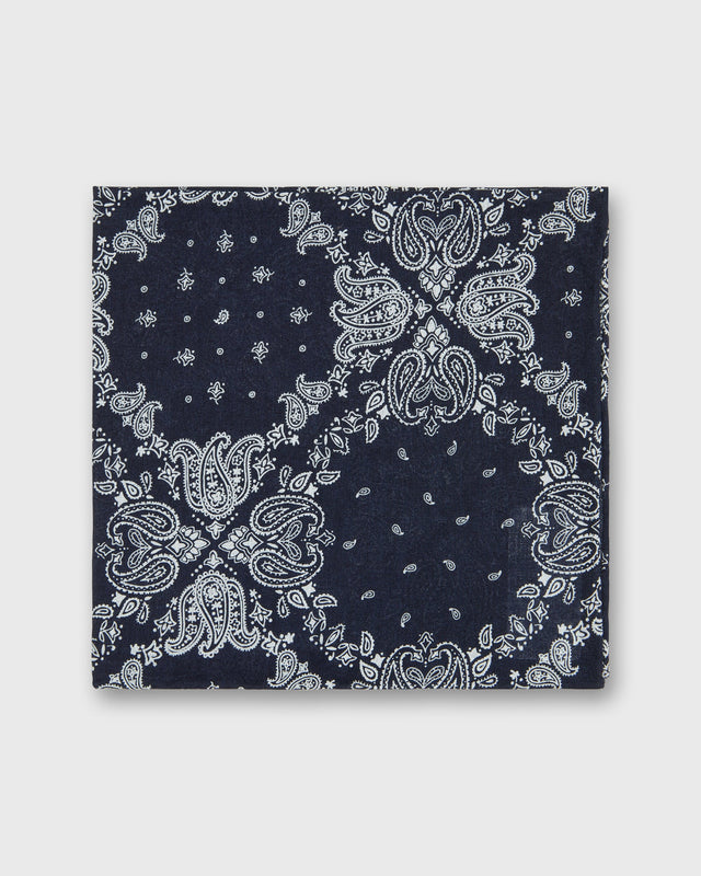 Cotton Print Pocket Square In White Paisley