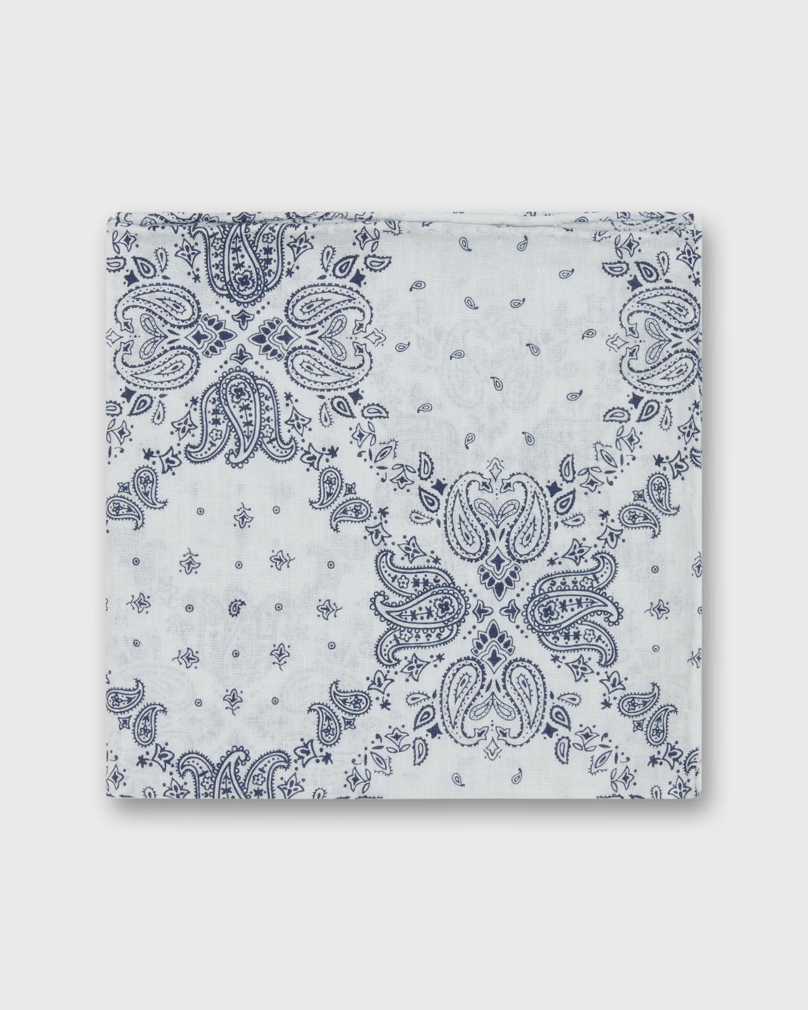 Cotton Print Pocket Square In White Navy Paisley