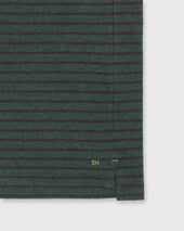 Short Sleeved Polo In Heather Sea Heather Brown Stripe Pima Pique