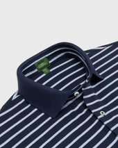 Court Polo In Heather Pale Stripe Pima Pique