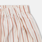 Multi Striped Cotton Godfrey Boxer Shorts